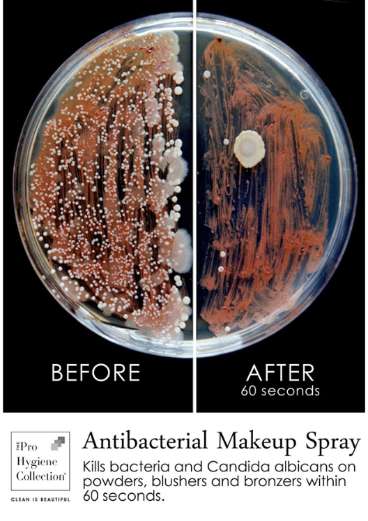 Quick-Dry Antibacterial Makeup Sanitising Spray (100ml)